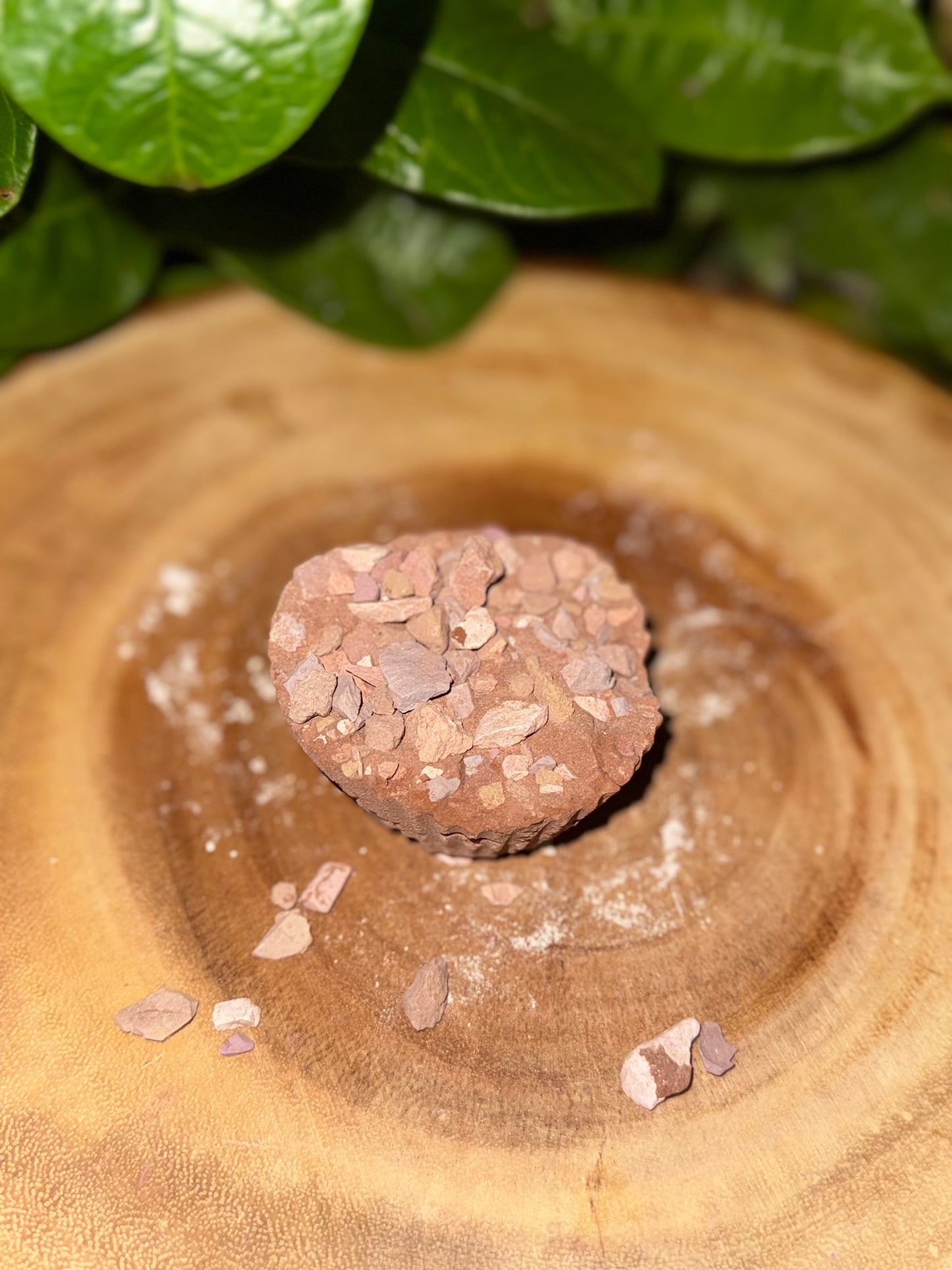 Mix pansito de tierra