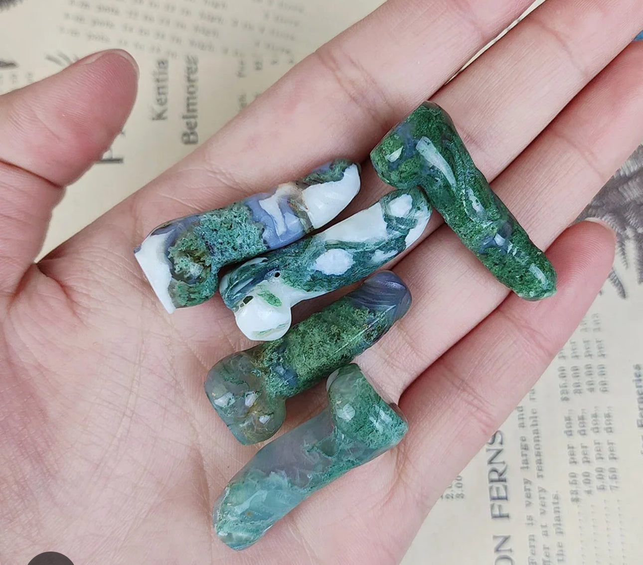 Mini penis ( crystals)