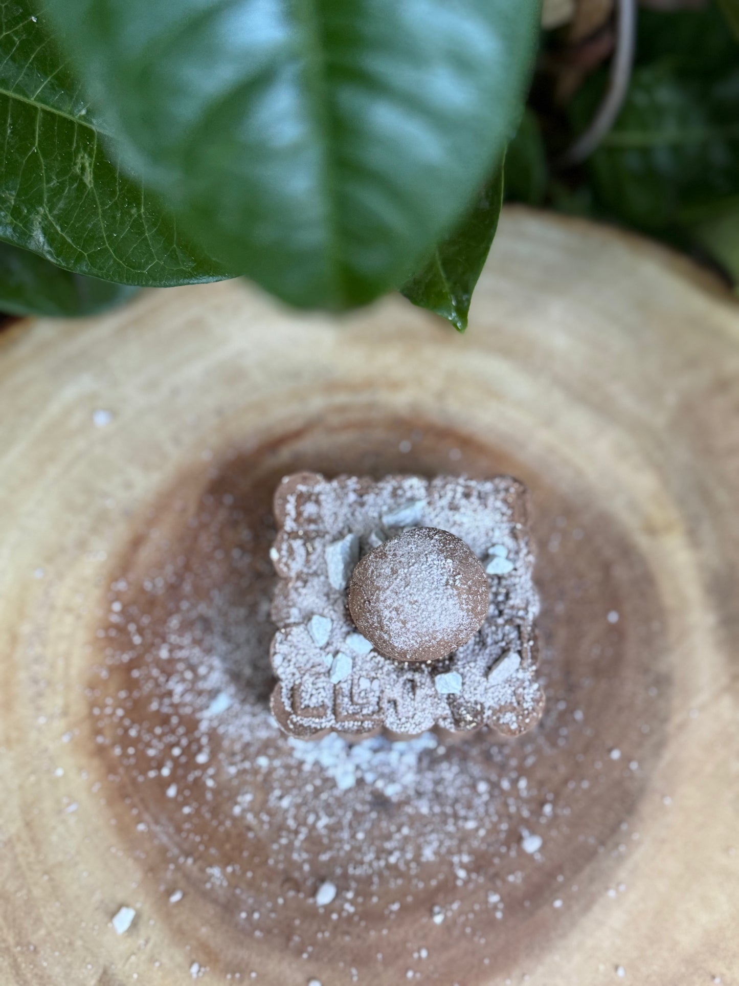 Azteca-Maya (tierra)