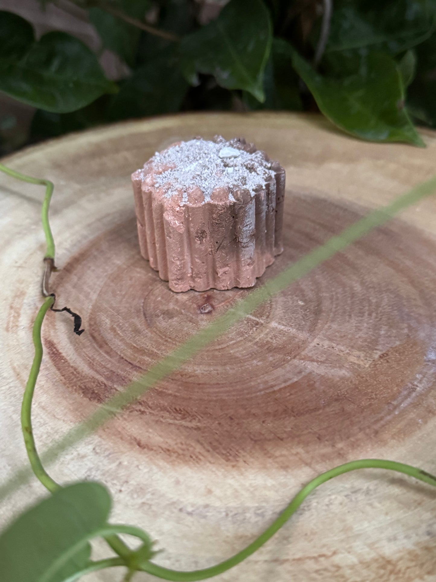 Dulce de Blanca Nieve