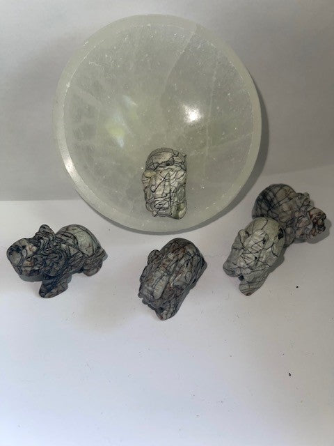 black network elephants