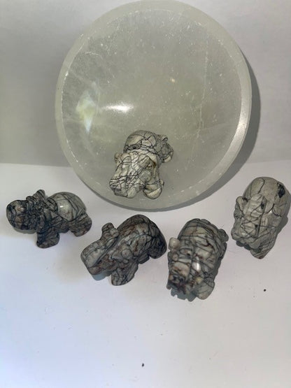 black network elephants