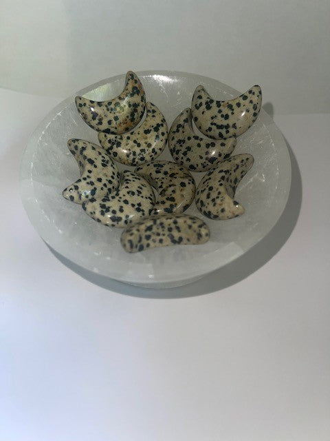 dalmation halfmoon  carved