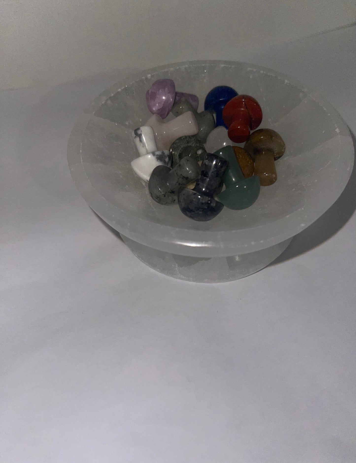 Bundle of 14 pcs mushrooms