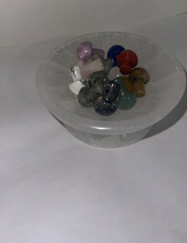 Bundle of 14 pcs mushrooms