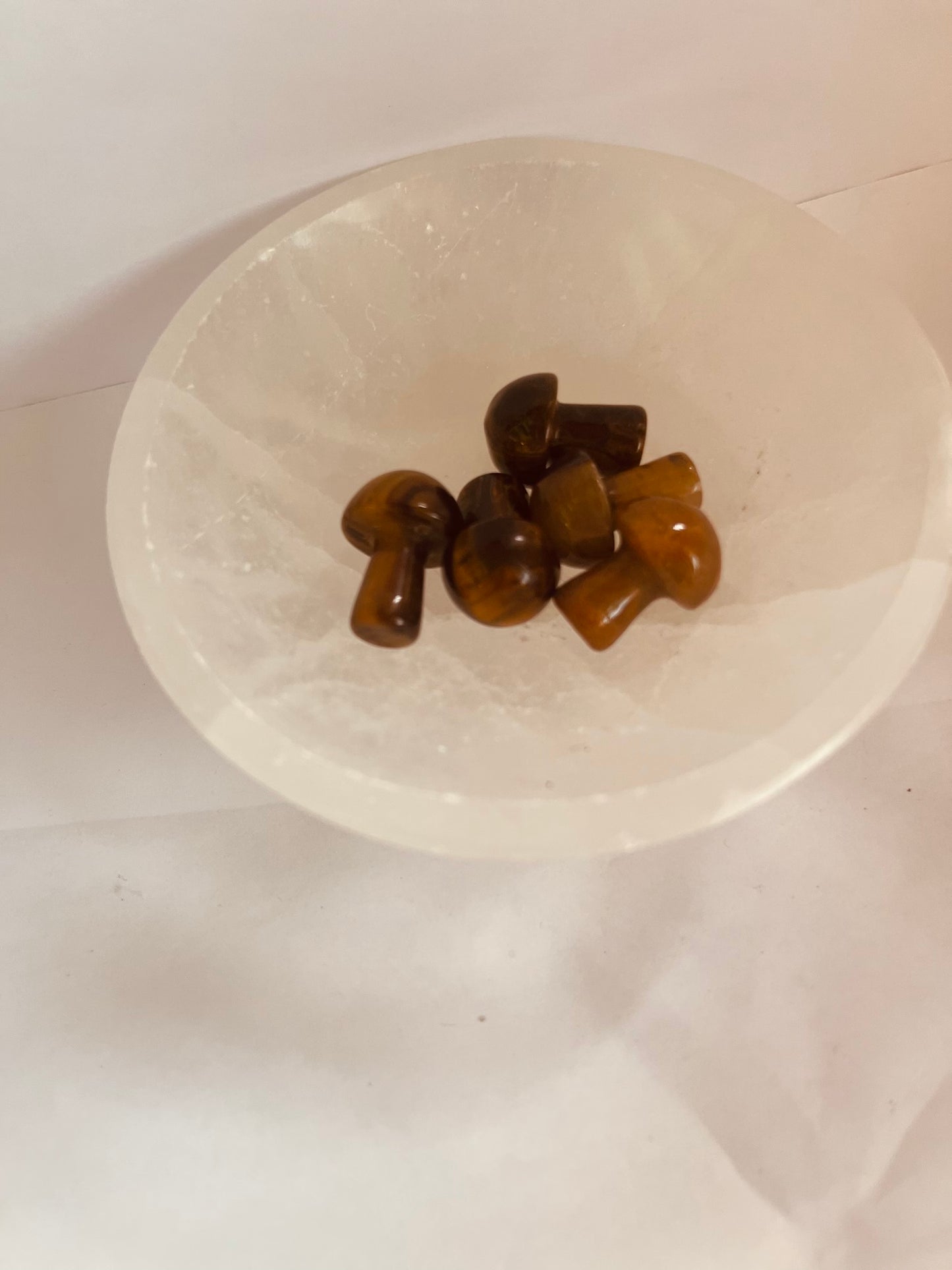 Small tiger  eye mushroom