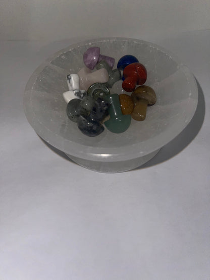 Bundle of 14 pcs mushrooms