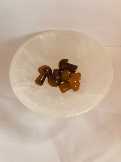 Small tiger  eye mushroom