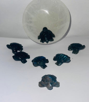 obsidian turtle shiny